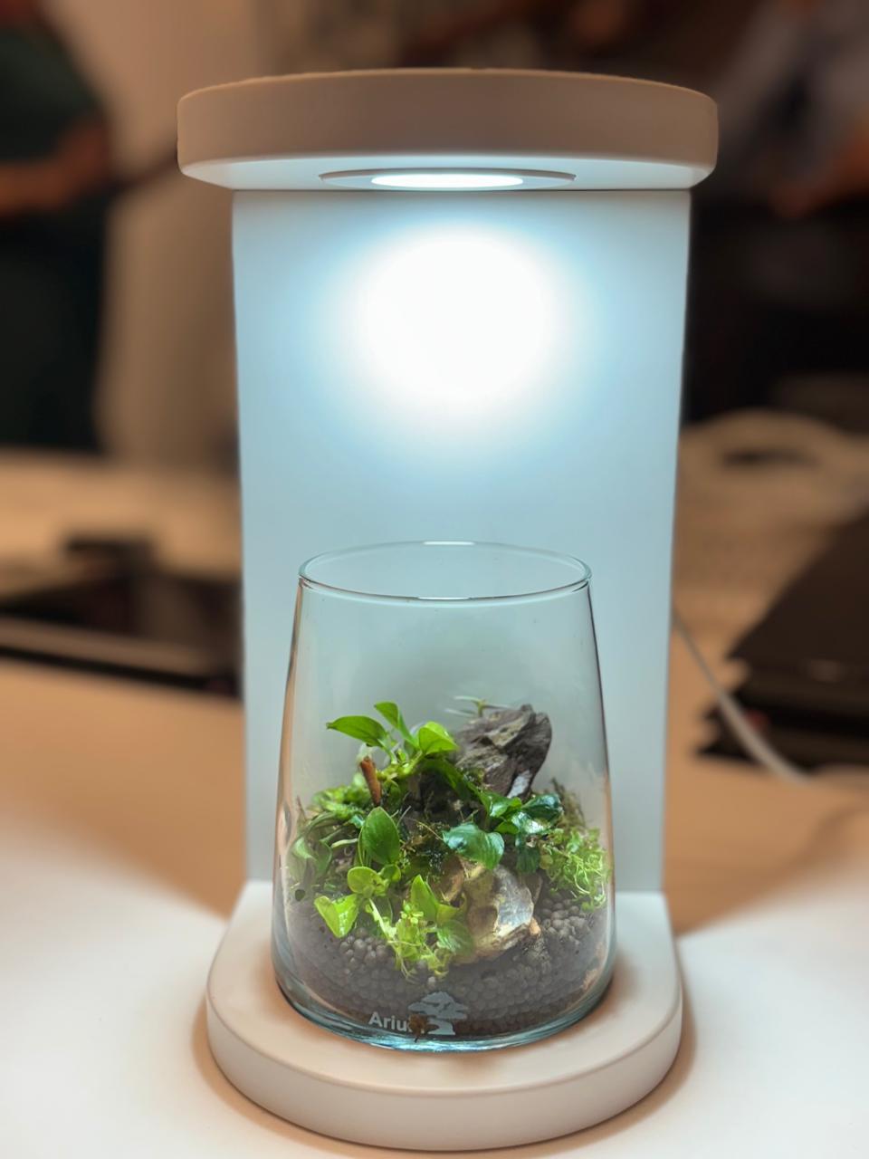 Terrarium 3